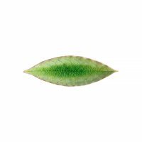 Snack-/Beilagenteller, Blatt-Form, Laurel Leaf, Riviera Tomato Green 18 cm, Costa Nova