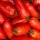 San Marzano Cubetti, San Marzano Tomaten in Würfel, Vintage, 400 / 240 g, Il pomodoro più buono, Italien