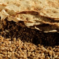 CaraSnack Guttiau, Knuspriger sardischer Snack, Il Carasau di Sardegna, 65g, Logias