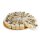 Torrone-Tortenstück mit Haselnüssen und Schokolade, soft, Torta di Torrone con Nocciole e Cioccolato, 110g, weißer Nougat, Dolcital
